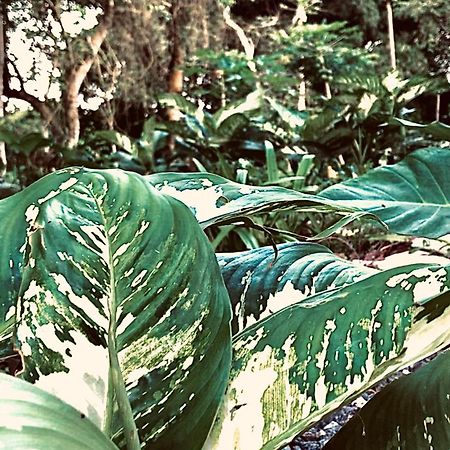 Nature'S Cradle Obosomase ภายนอก รูปภาพ